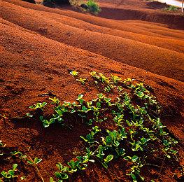 《怪物猎人物语2：毁灭之翼》售价永降 Steam国区售价再次下调